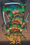 Teenage Mutant Ninja Turtles, Vol. 6 #20AX - Frank Miller Blind Bag Variant